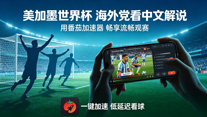 在马来西亚看抖音世界杯中文直播当前IP受限制教程